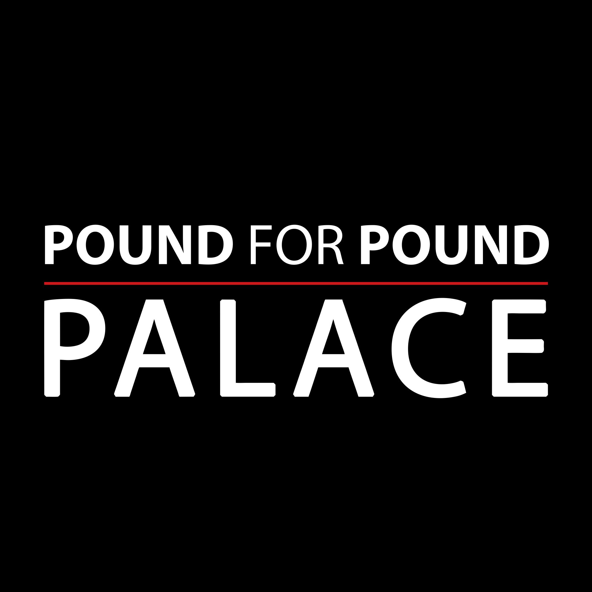 Pound For Pound Under Armour Track Pants - Image 3