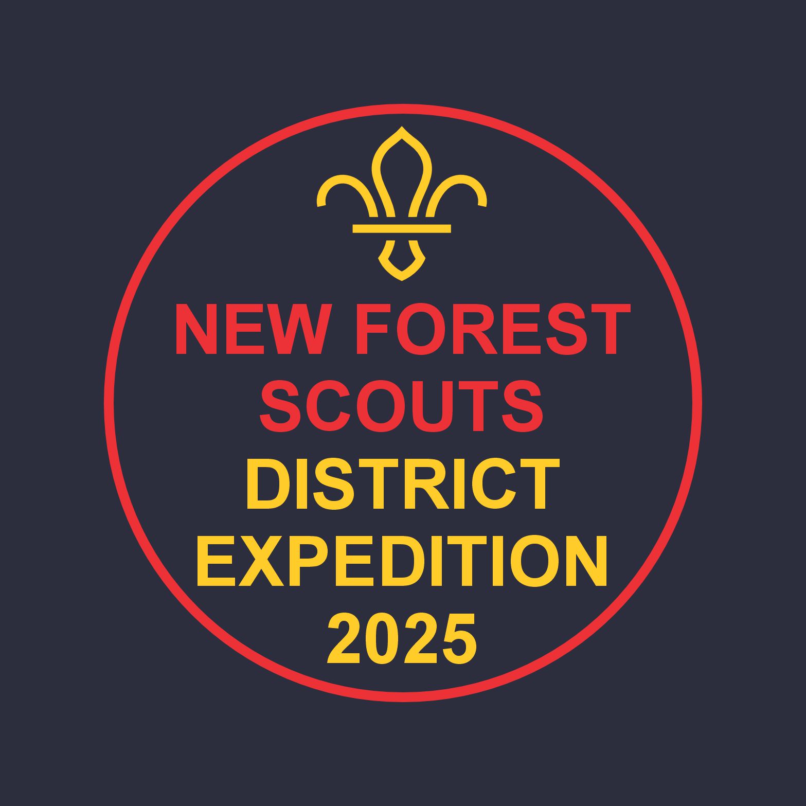 New Forest Scouts Hoodie - Image 3